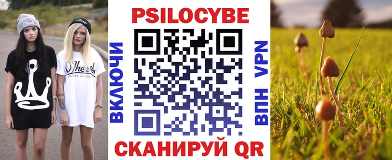 блэк спрут маркетплейс  Полевской  Галлюциногенные грибы прущие грибы  цена наркотик 
